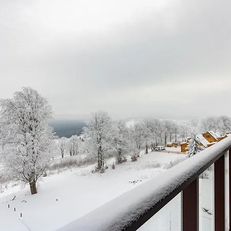 Zieleniec Apartment *