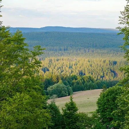 Zieleniec