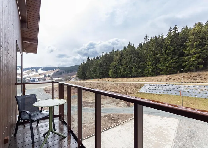 Apartment Zieleniec *