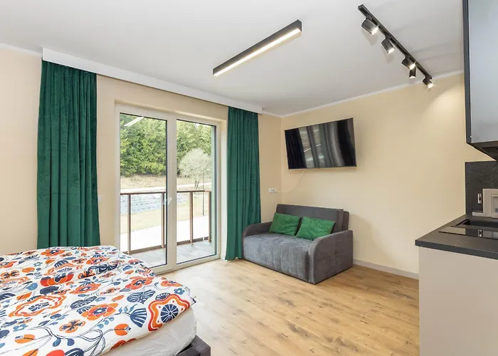 Apartment Zieleniec *