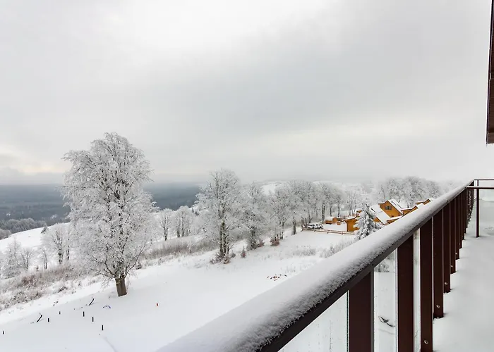 Zieleniec Apartment *